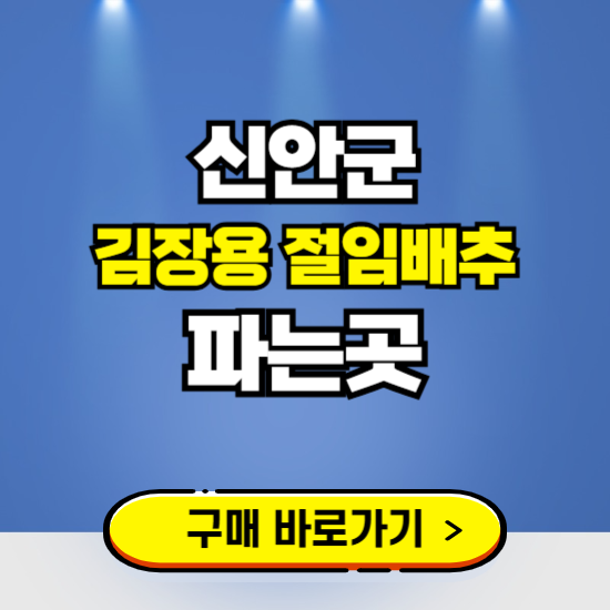 신안군 절임배추 사전예약 구입하는곳 ❘ 김장배추 파는곳 가격보기