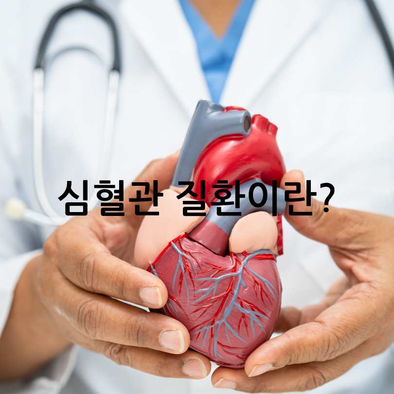 심혈관 질환 전조증상과 예방법