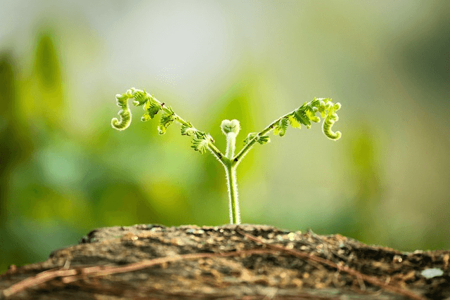 농부들이 가장 바쁜 춘분