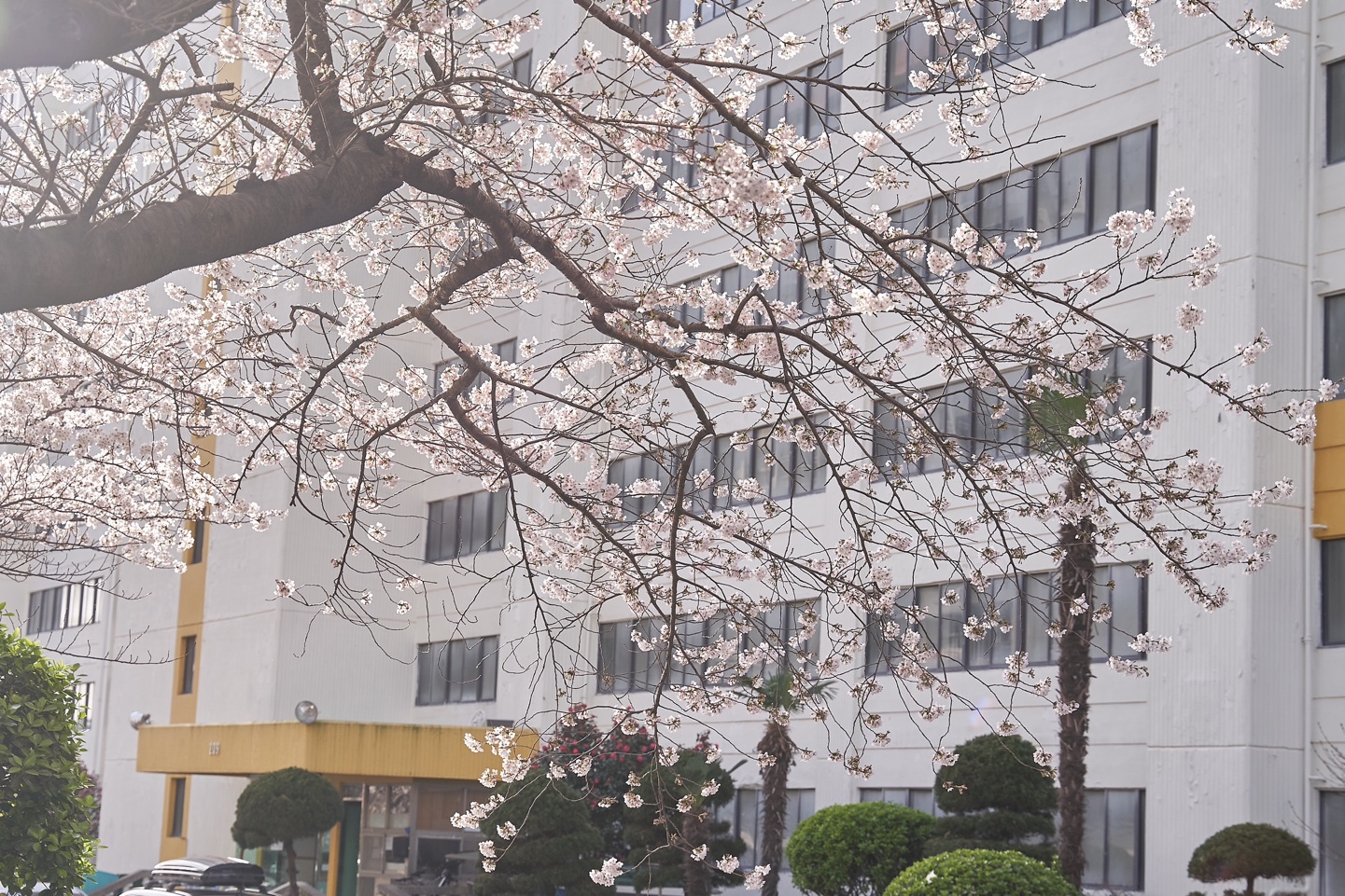 삼익비치