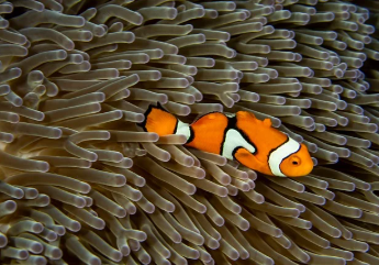 숙박 세일 페스타 완벽 정리 16