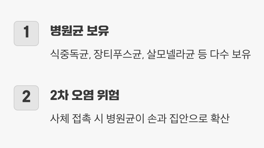 보이지 않는 위험, '병원균'과의 접촉