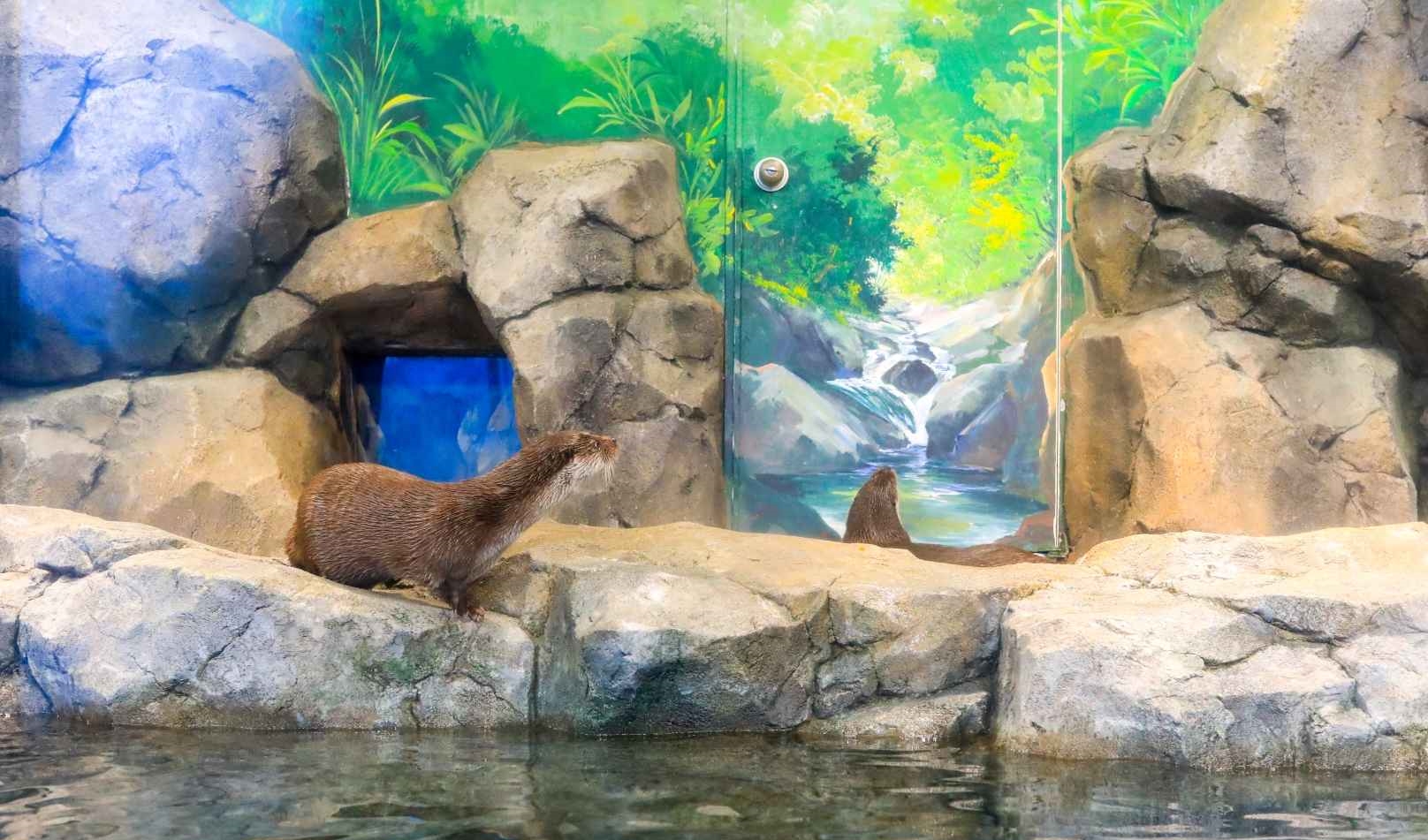 경포 아쿠아리움