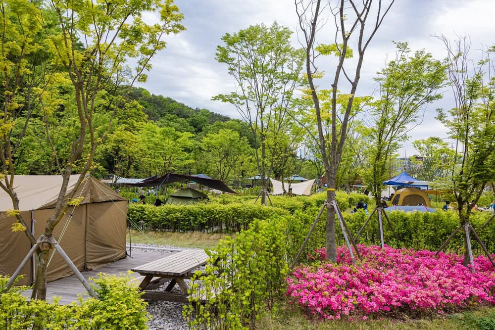 우이동 캠핑장 모습