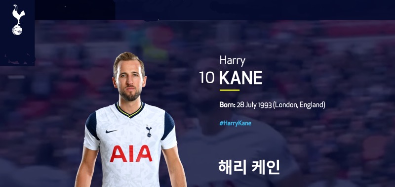 해리 케인 토트넘 홋스퍼FC