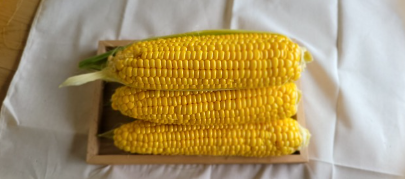 다자녀 가정 농수산물 지원사업