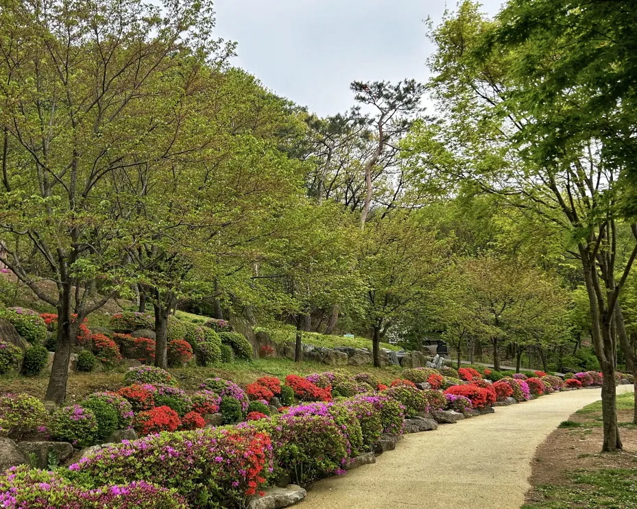 자연휴양림 예약정보시스템 바로가기 완벽 이용 가이드_5