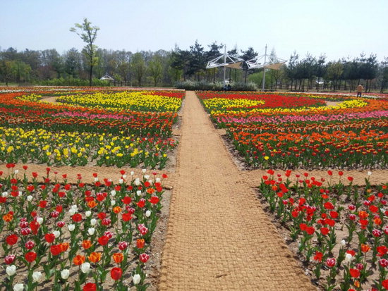 청주 가볼만한곳 베스트: 문암생태공원