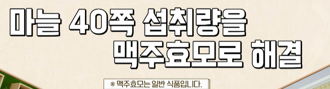 맥주 효모의 효능