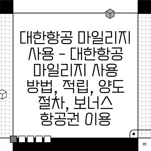 대한항공 마일리지 사용 - 대한항공 마일리지 사용 방법, 적립, 양도 절차, 보너스 항공권 이용