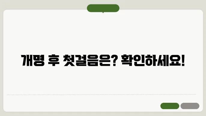 개명 신고 후 할일