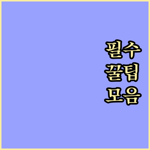 ESTA 갱신? 만료 전 새 신청 필..