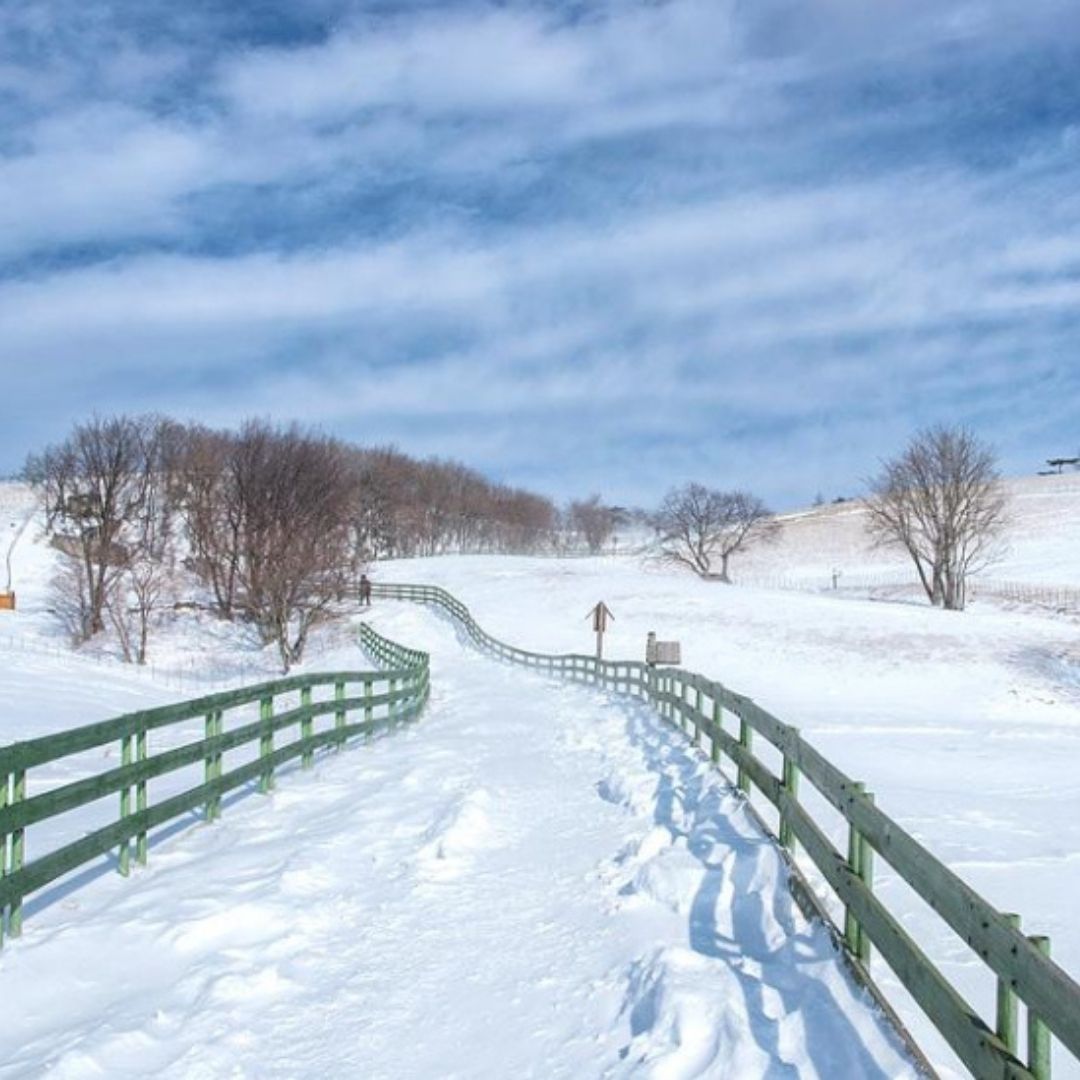 겨울에/꼭/가봐야/하는/여행지/강원도/평창