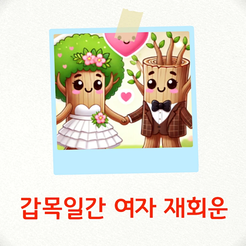 갑목일간 여자 재회운