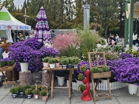 2025 고양가을꽃축제 완벽 가이드 : 일정&middot;테마&middot;공간 구성&middot;연계 행사&middot;오시는 길 총정리