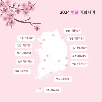 벚꽃 개화시기 2025 만개시기 히든스팟_17