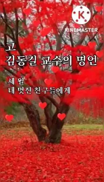 아침 인사 문자 날씨 변화에 맞춘 안부 문장 하루를 여는 표현_25