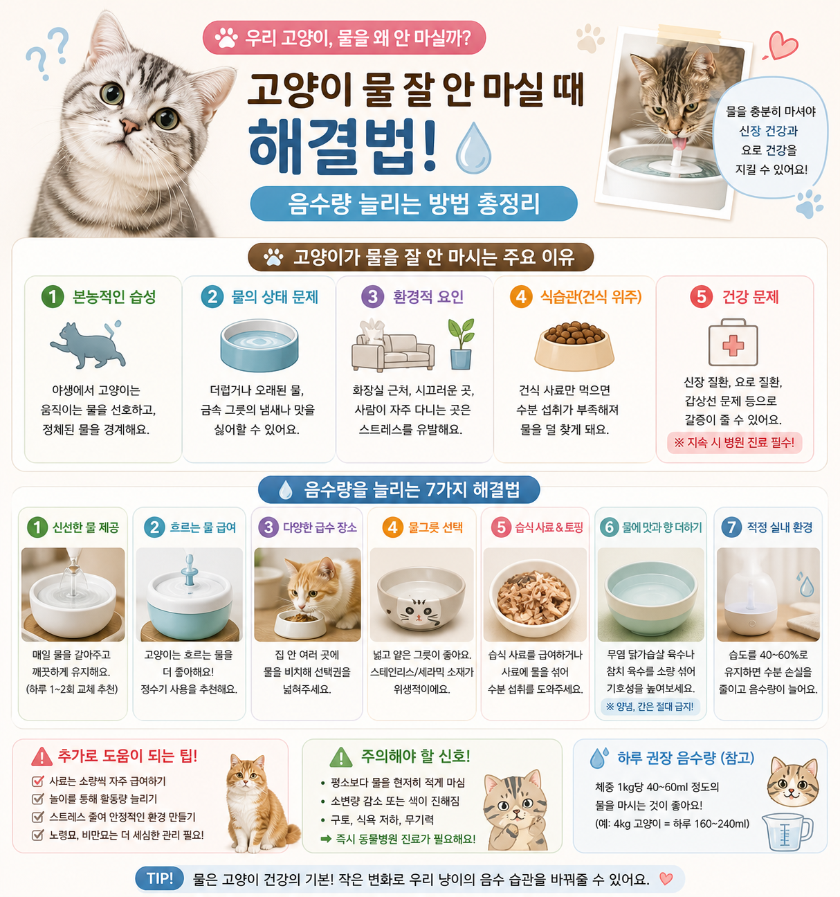 고양이 물 안마실때 해결법 사진설명