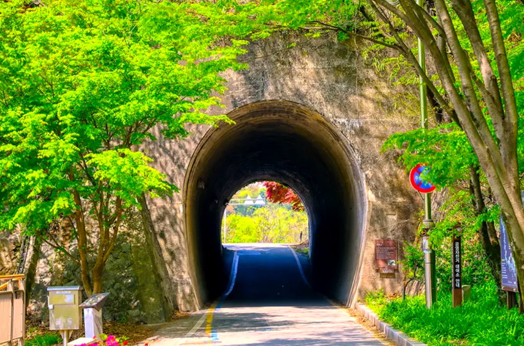 90년의 시간을 걷다