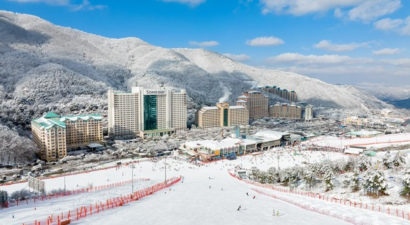홍천 소노벨 비발디파크 스키장