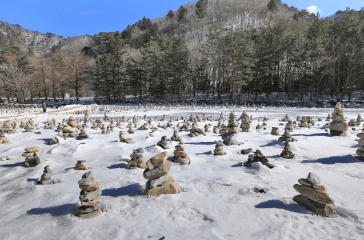 강원도 겨울 트레킹 추천 BEST 5 : 설경 걷기 좋은 길