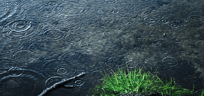 국민연금 유족연금