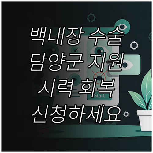 2025 담양군 저소득 노인 백내장 ..