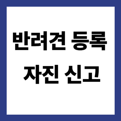 반려견 등록 자진 신고