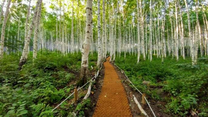 인제 정착 리얼 가이드 — 자연과 사람 사이, 느린 삶의 중심에서