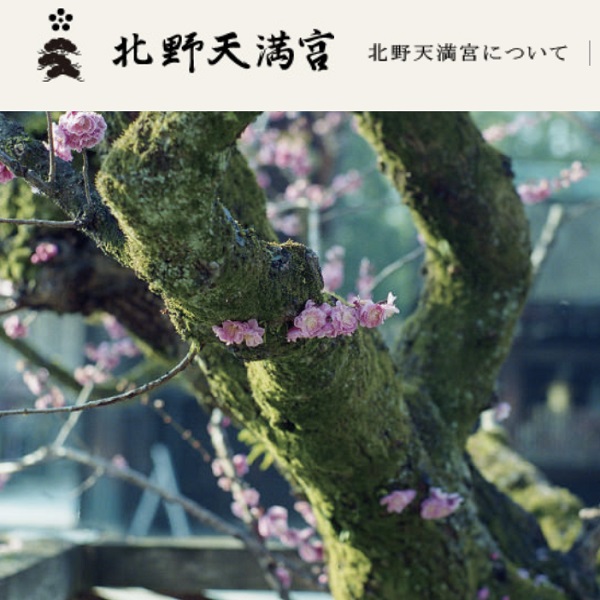 경제적으로 즐기는 일본 교토 인기여행 - 키타노텐만구, 치온인, 기모노 여권