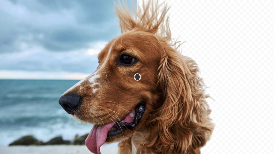 이미지 배경 제거