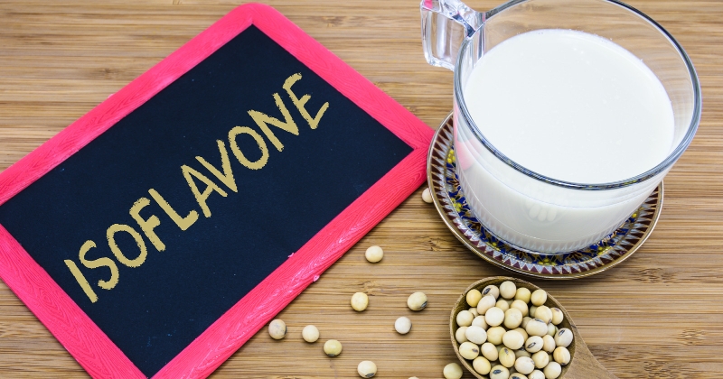 이소플라본
