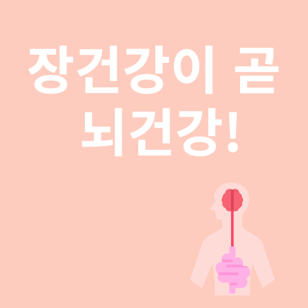 장건강과 관련된 이미지