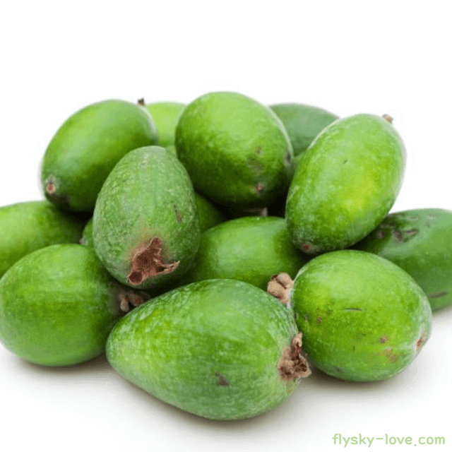 열대 과일 페이조아