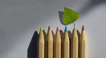 직업 선택, 좋아하는 일과 잘하는 일 중 무엇을 택할까?