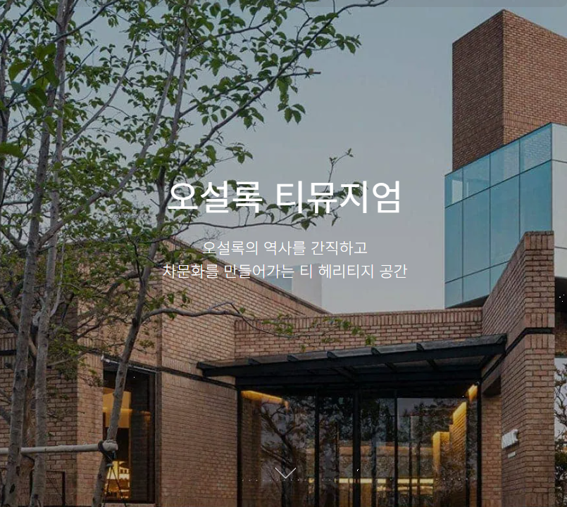 제주오설록 사진