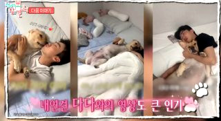 이강태 프로필 전참시 이강태 유튜버 포켓멍센터