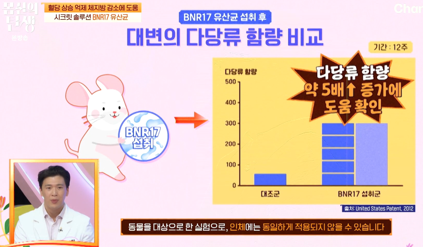 BNR17 유산균