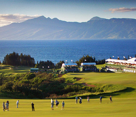 2025 해외 골프여행지 관련 이미지5