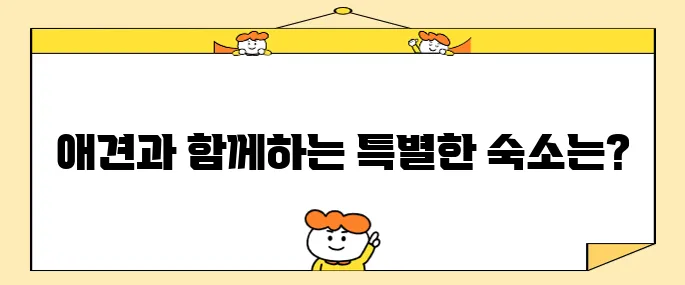 강원도 평창에서 휘닉스파크 근처에 있는 애견 동반 숙소를 추천합니다, 꼭 확인해 보세요!