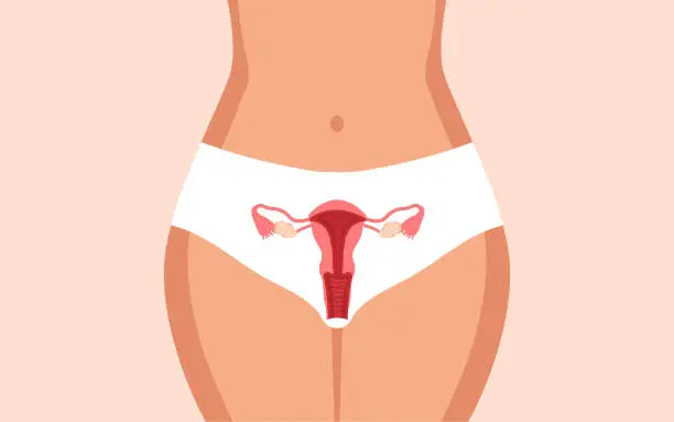 생리후 부정출혈 원인은 무엇일까요? 여성의 건강을 생각할 때 가장 기본적인 것 중 하나가 바로 '생리'입니다. 생리는 우리 몸이 정상적으로 기능하고 있다는 신호이며, 가임 기간 동안 여성의 건강 상태를 반영해 주죠. 그러면 왜 부정출혈이 생기는지 알아볼까요~