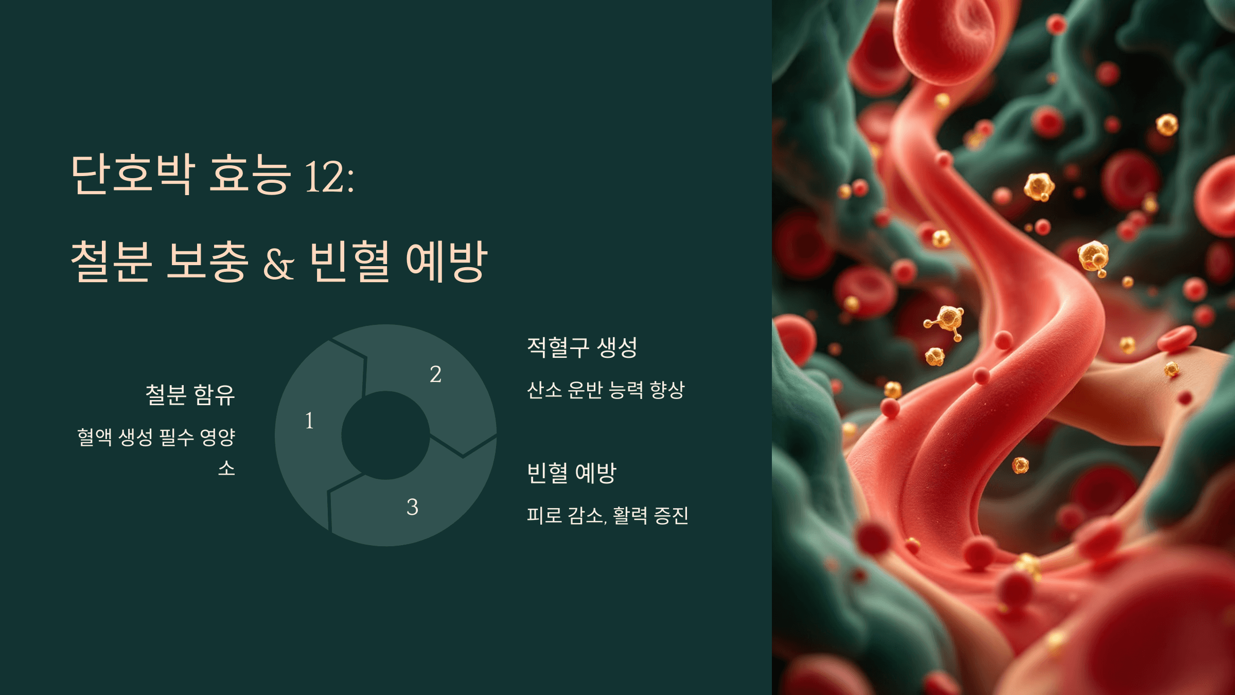 단호박 사진입니다.