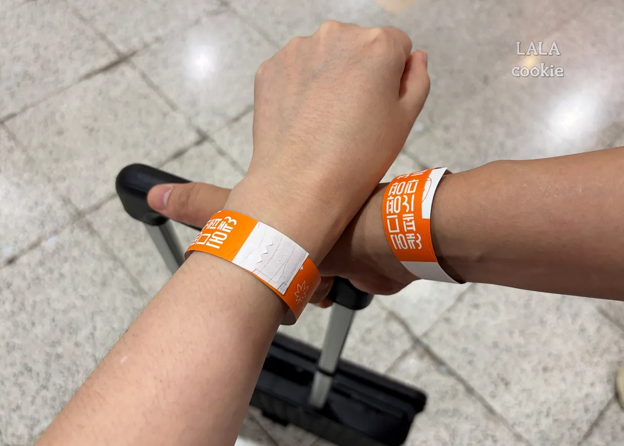 일산-킨텍스-궁디팡팡캣페스타-고양이박람회-입장-팔찌