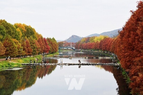 담양 여행지 & 맛집 추천, 감성 가득 담양 1박 2일 힐링 코스 관련 사진