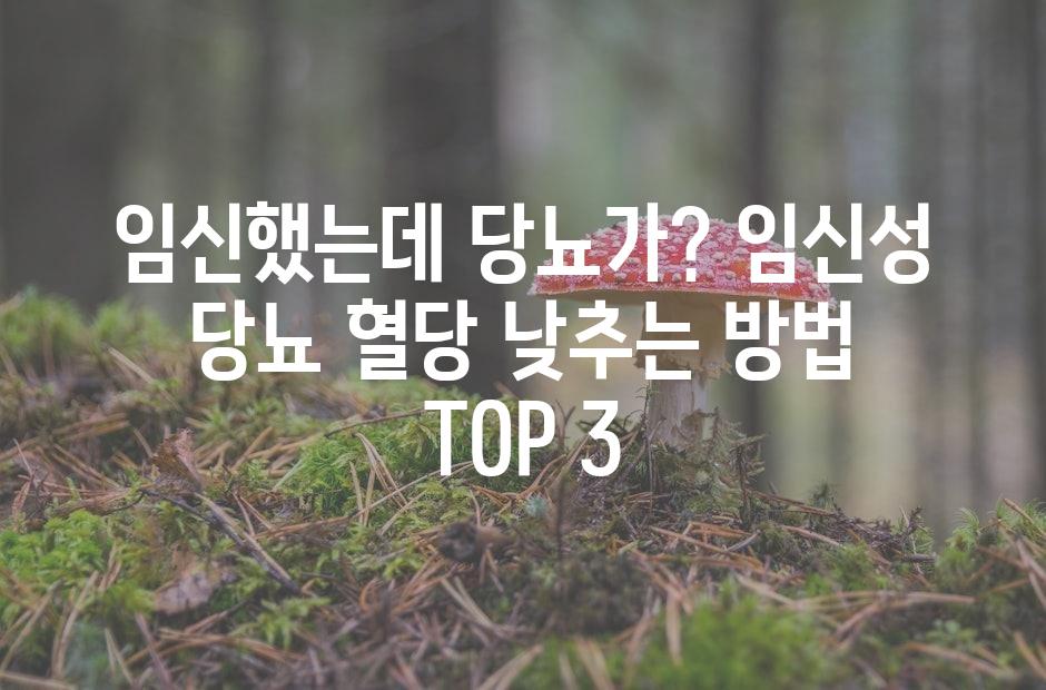 샘플 (42)