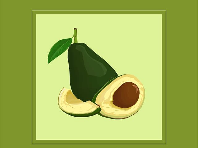 아보카도 오일 칼로리