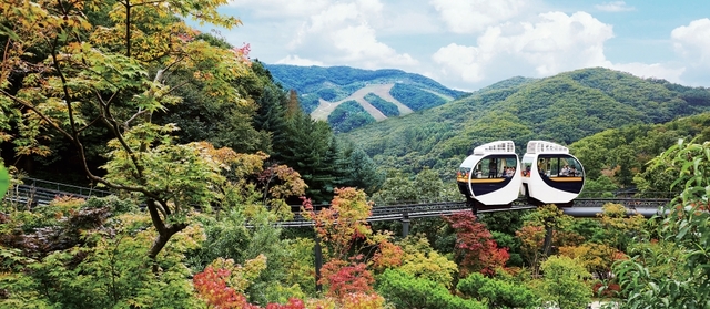 화담숲 예약 방법과 방문 팁 총정리