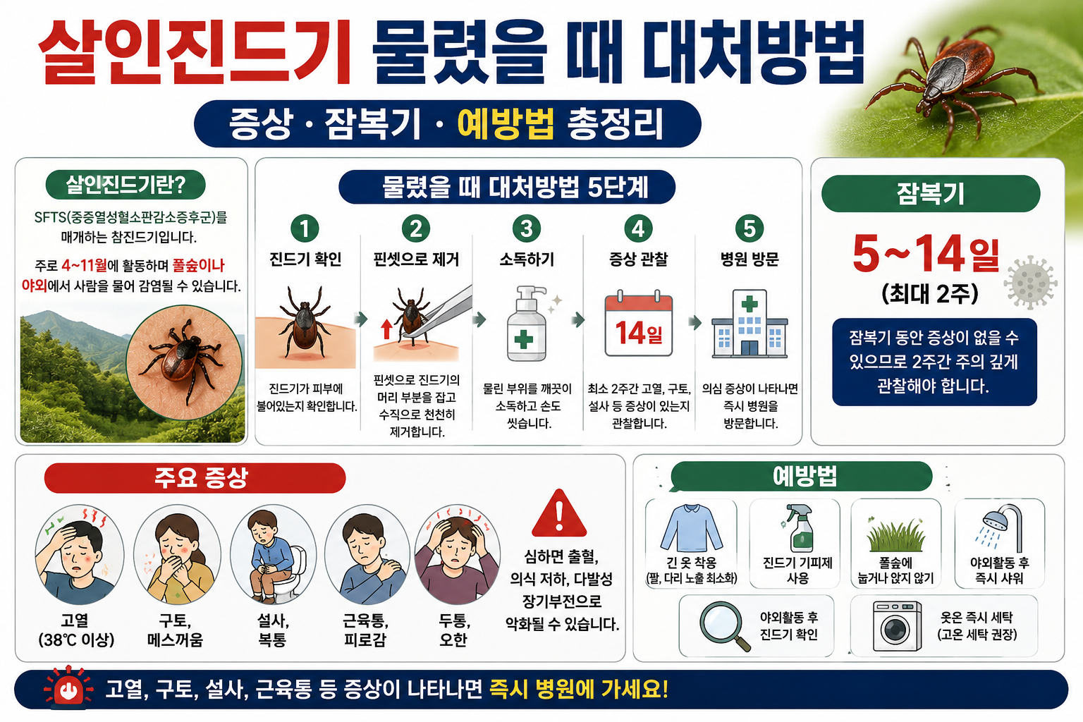 살인진드기 물렸을 때 대처방법｜증상&middot;잠복기&middot;치료까지 한 번에 정리