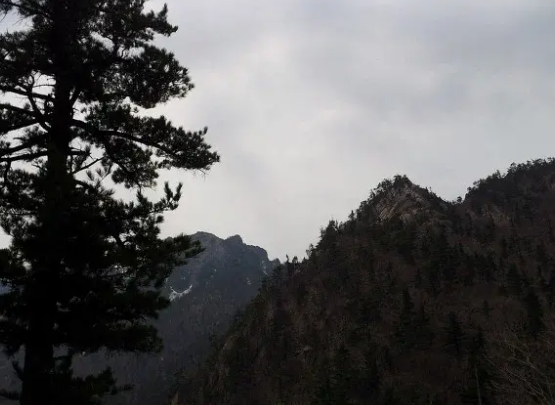 설악 케이블카 운행시간 예약방법 요금할인