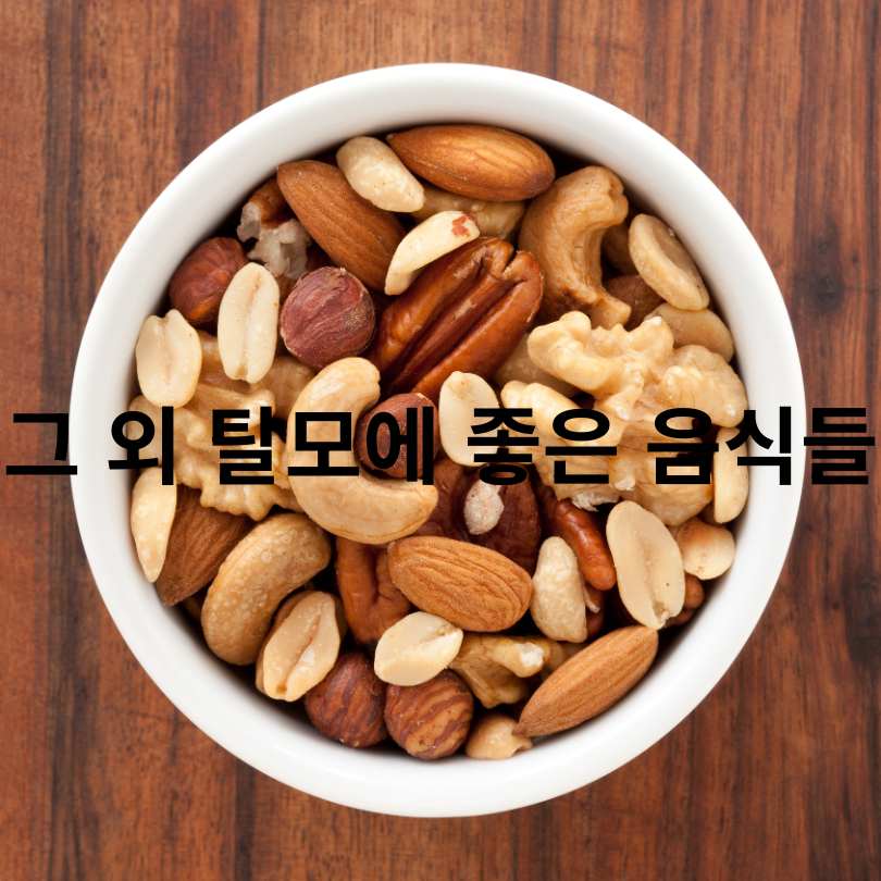 탈모에 좋은 음식 총정리!